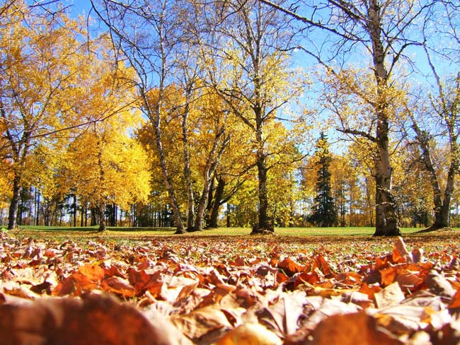 50 λόγοι για να αγαπήσεις το φθινόπωρο
